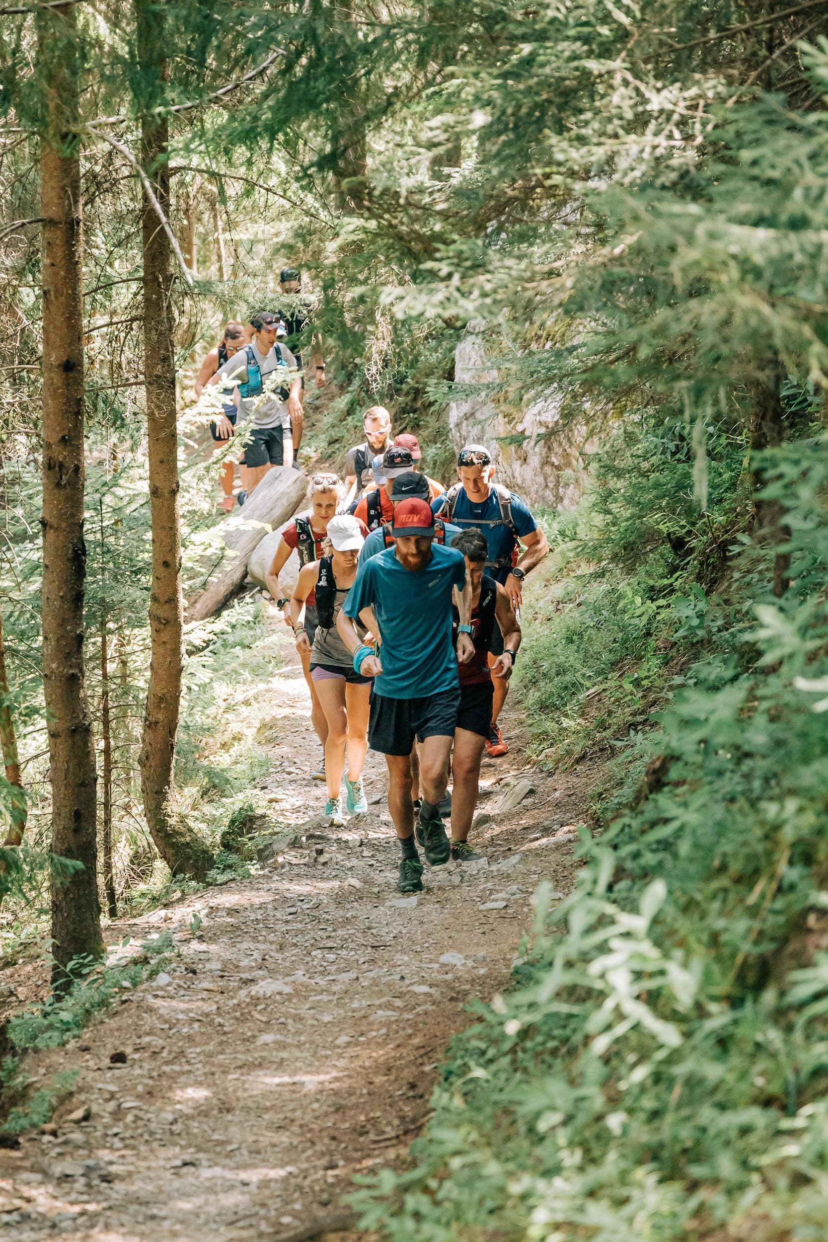 A group of trail runners